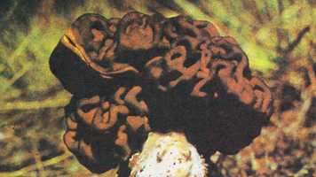 Free download Audioplay AUDIOKAUKAS, song KAIP TEN BUS? video and edit with RedcoolMedia movie maker MovieStudio video editor online and AudioStudio audio editor onlin