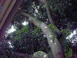 Free download Aula Jam no cho de nuvens da Rampa - RJ/BR 2009 video and edit with RedcoolMedia movie maker MovieStudio video editor online and AudioStudio audio editor onlin