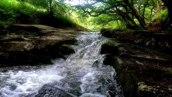 Free download Aura Clearing Meditation Music video and edit with RedcoolMedia movie maker MovieStudio video editor online and AudioStudio audio editor onlin