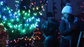 Free download Aurora Singing Tree At Indianapolis Zoo video and edit with RedcoolMedia movie maker MovieStudio video editor online and AudioStudio audio editor onlin