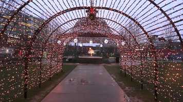 Free download Aurora Singing Tree In Maple Ridge video and edit with RedcoolMedia movie maker MovieStudio video editor online and AudioStudio audio editor onlin