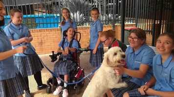 Free download Australian Education Awards 2020 - Lloyd Godson Teacher Hastings Secondary College video and edit with RedcoolMedia movie maker MovieStudio video editor online and AudioStudio audio editor onlin