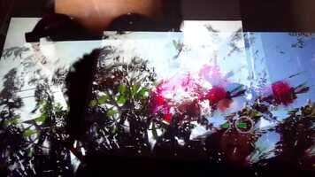 Free download Auto-entrevista (experimental) de Rrose Present para LA MIRADA INQUIETA, Santiago de Cuba 2021 video and edit with RedcoolMedia movie maker MovieStudio video editor online and AudioStudio audio editor onlin