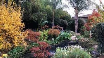 Free download Autumn 2019 video and edit with RedcoolMedia movie maker MovieStudio video editor online and AudioStudio audio editor onlin