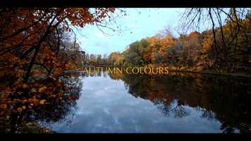 Free download Autumn colours video and edit with RedcoolMedia movie maker MovieStudio video editor online and AudioStudio audio editor onlin