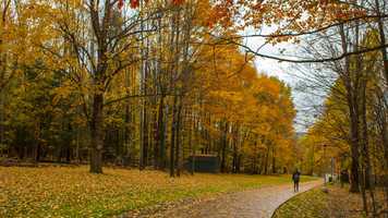 Free download Autumn Studies at Binghamton University - Time-Lapse (2018) video and edit with RedcoolMedia movie maker MovieStudio video editor online and AudioStudio audio editor onlin