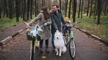 Free download Autumn Symphony. video and edit with RedcoolMedia movie maker MovieStudio video editor online and AudioStudio audio editor onlin