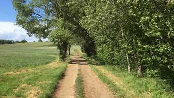 Free download A Very Short Film About The Way Things Turn Out video and edit with RedcoolMedia movie maker MovieStudio video editor online and AudioStudio audio editor onlin