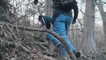 Free download AVS Demo Reel 2019 video and edit with RedcoolMedia movie maker MovieStudio video editor online and AudioStudio audio editor onlin