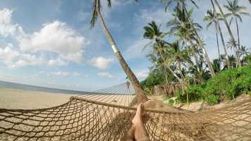 Free download AVS Week 3 Reaction video and edit with RedcoolMedia movie maker MovieStudio video editor online and AudioStudio audio editor onlin