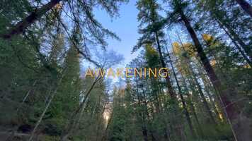 Free download Awakening - The Power of Movement video and edit with RedcoolMedia movie maker MovieStudio video editor online and AudioStudio audio editor onlin