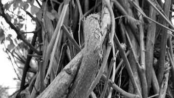 Free download Awaken Short Film video and edit with RedcoolMedia movie maker MovieStudio video editor online and AudioStudio audio editor onlin