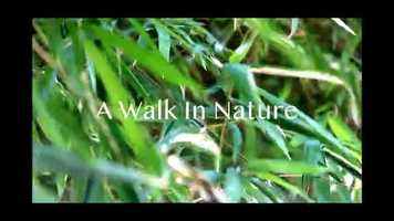 Free download A Walk in Nature video and edit with RedcoolMedia movie maker MovieStudio video editor online and AudioStudio audio editor onlin