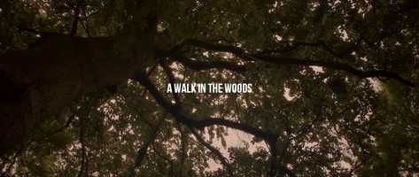Free download A Walk in the Woods (2020) video and edit with RedcoolMedia movie maker MovieStudio video editor online and AudioStudio audio editor onlin