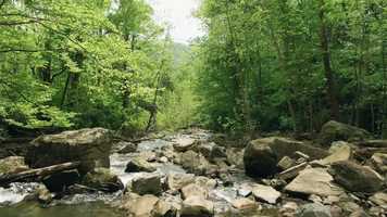 Free download A walk in the woods - May Sun (Calming Music) video and edit with RedcoolMedia movie maker MovieStudio video editor online and AudioStudio audio editor onlin