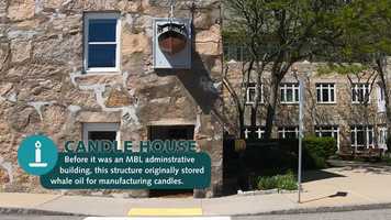 Free download A Walk Through Woods Hole video and edit with RedcoolMedia movie maker MovieStudio video editor online and AudioStudio audio editor onlin