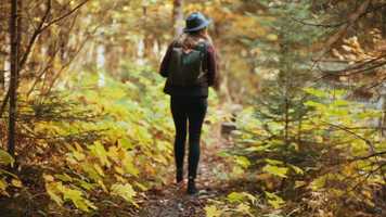 Free download A Well Worn Story, Alderwood Resort, 2019 video and edit with RedcoolMedia movie maker MovieStudio video editor online and AudioStudio audio editor onlin