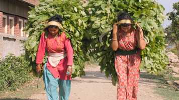 Free download A Womans Life in Nepal_03.08.20 video and edit with RedcoolMedia movie maker MovieStudio video editor online and AudioStudio audio editor onlin