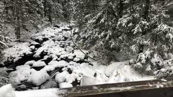 Free download A year in the life video and edit with RedcoolMedia movie maker MovieStudio video editor online and AudioStudio audio editor onlin