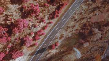 Free download Babayani video and edit with RedcoolMedia movie maker MovieStudio video editor online and AudioStudio audio editor onlin