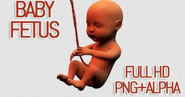 Free download Baby Fetus | Motion Graphics - Envato elements video and edit with RedcoolMedia movie maker MovieStudio video editor online and AudioStudio audio editor onlin