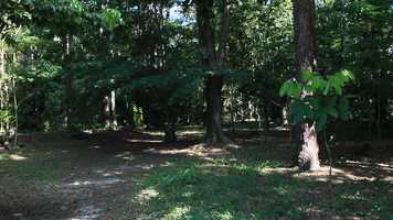 Free download Bachack Man Movie Trailer - Caribbean Film (Trinidad and Tobago) 2020 video and edit with RedcoolMedia movie maker MovieStudio video editor online and AudioStudio audio editor onlin