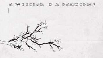 Free download Backdrop video and edit with RedcoolMedia movie maker MovieStudio video editor online and AudioStudio audio editor onlin