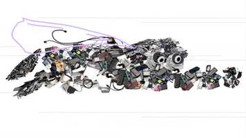 Free download BACK_MARKET_VA_CONVERGENCES_STUDIO video and edit with RedcoolMedia movie maker MovieStudio video editor online and AudioStudio audio editor onlin