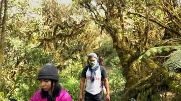 Free download Back to the Basics video and edit with RedcoolMedia movie maker MovieStudio video editor online and AudioStudio audio editor onlin