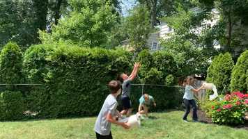 Free download BACKYARD THEATRE_ DISNEY (in Quarantine) video and edit with RedcoolMedia movie maker MovieStudio video editor online and AudioStudio audio editor onlin