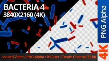 Free download Bacteria 4 | Motion Graphics - Videohive template video and edit with RedcoolMedia movie maker MovieStudio video editor online and AudioStudio audio editor onlin