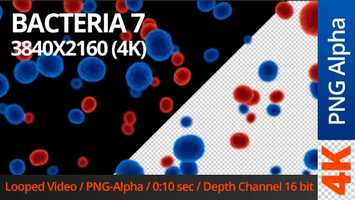 Free download Bacteria 7 | Motion Graphics - Videohive template video and edit with RedcoolMedia movie maker MovieStudio video editor online and AudioStudio audio editor onlin