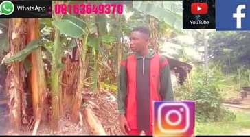 Free download Bad hug video and edit with RedcoolMedia movie maker MovieStudio video editor online and AudioStudio audio editor onlin