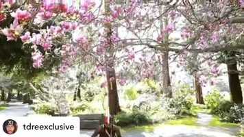 Free download Bahiya Movement PUKKA video and edit with RedcoolMedia movie maker MovieStudio video editor online and AudioStudio audio editor onlin