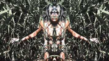 Free download Baile de Jurema - Short Clip By Stijn Pruijsen video and edit with RedcoolMedia movie maker MovieStudio video editor online and AudioStudio audio editor onlin