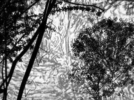 Free download Ballade video and edit with RedcoolMedia movie maker MovieStudio video editor online and AudioStudio audio editor onlin