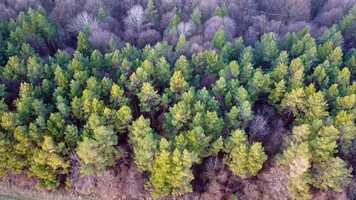 Free download Balzs-hegy video and edit with RedcoolMedia movie maker MovieStudio video editor online and AudioStudio audio editor onlin