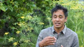 Free download BANDALOOP Loom ADA Pitchbook video and edit with RedcoolMedia movie maker MovieStudio video editor online and AudioStudio audio editor onlin