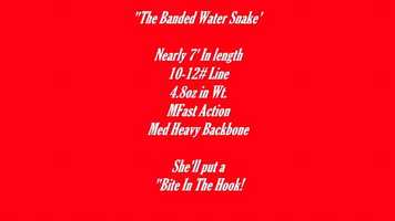 Free download BANDED WATER SNAKE MHEAVY POWER Inshore Fishing Rod video and edit with RedcoolMedia movie maker MovieStudio video editor online and AudioStudio audio editor onlin