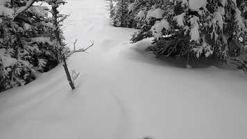 Free download Banff Powder Day video and edit with RedcoolMedia movie maker MovieStudio video editor online and AudioStudio audio editor onlin