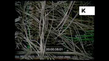 Free download Bank of Computers, Circuit Boards, Wires, 1960s Tech, 35mm video and edit with RedcoolMedia movie maker MovieStudio video editor online and AudioStudio audio editor onlin