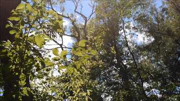 Free download Baram Word/Song video and edit with RedcoolMedia movie maker MovieStudio video editor online and AudioStudio audio editor onlin