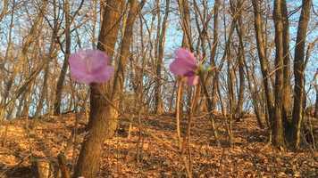 Free download Baram Word/Song Two video and edit with RedcoolMedia movie maker MovieStudio video editor online and AudioStudio audio editor onlin