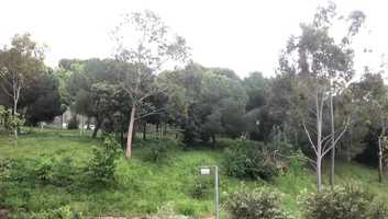 Free download Barcelona, Can Clos. Miriam Mercedes Mart, Institut Montjuc, abril de 2020 video and edit with RedcoolMedia movie maker MovieStudio video editor online and AudioStudio audio editor onlin