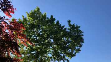 Free download Barcelona. Lucia Ramn, Institut Moiss Broggi, maig de 2020 video and edit with RedcoolMedia movie maker MovieStudio video editor online and AudioStudio audio editor onlin