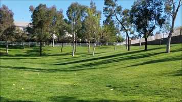 Free download Baseball Bombardment_April 24th video and edit with RedcoolMedia movie maker MovieStudio video editor online and AudioStudio audio editor onlin