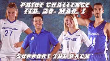 Free download Baseball pride challenge video and edit with RedcoolMedia movie maker MovieStudio video editor online and AudioStudio audio editor onlin