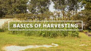 Free download Basics of Harvesting Film video and edit with RedcoolMedia movie maker MovieStudio video editor online and AudioStudio audio editor onlin