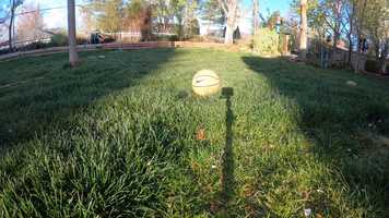 Free download BasketBall (2).mp4 video and edit with RedcoolMedia movie maker MovieStudio video editor online and AudioStudio audio editor onlin