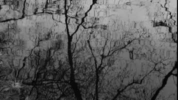 Free download Bass Lake video and edit with RedcoolMedia movie maker MovieStudio video editor online and AudioStudio audio editor onlin